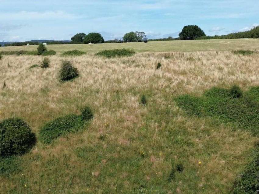 Images for LAND FOR AUCTION - Station Road, Wickwar